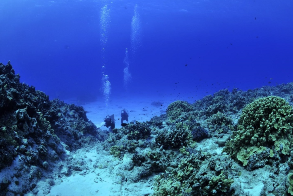 05000026-d362-940x628.png