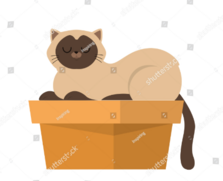 050002ln-854b-223x181.png