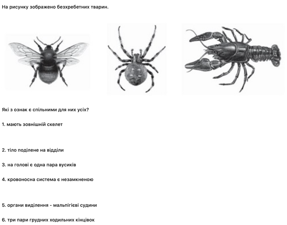 050003dy-9089-940x738.png