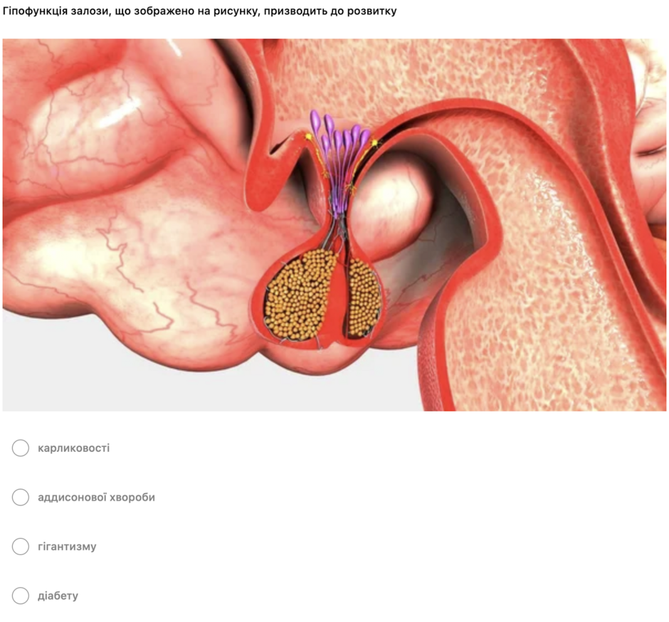 050003el-1ab8-940x874.png