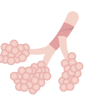 050003fd-0e20-300x332.png