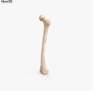 050003fg-23bd-324x316.png