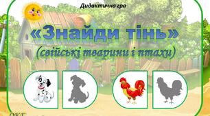 Дидактична гра "Знайди тінь" (свійські тварини і птахи)