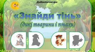 Дидактична гра "Знайди тінь" (дикі тварини і птахи)