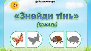 Дидактична гра "Знайди тінь" (комахи)