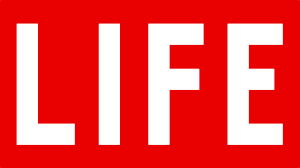 050007n0-b8fe-300x168.png