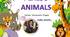 Навчальна гра Pexeso Animals (тварини)