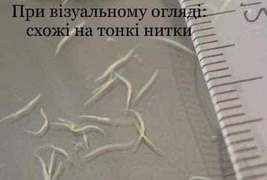 050009w8-ebfd-267x180.png