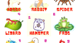Pets Словник і Вправи з Англійської