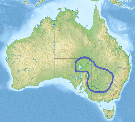 05000ct0-3133-433x389.png