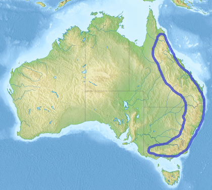 05000ctb-d395-420x377.png