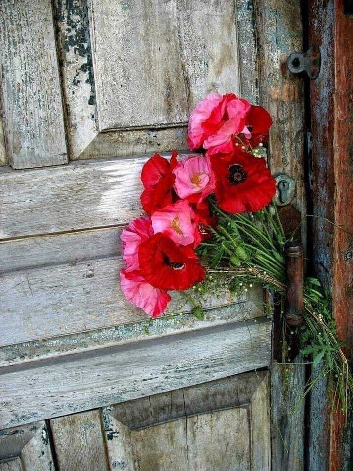 Нет описания фото.