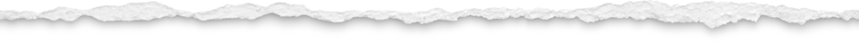 05000e93-258b-940x47.png