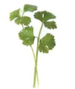 05000ezv-5756-75x89.png