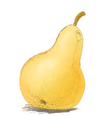 05000f4y-8208-101x116.png