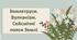 Презентація з географії 6 клас НУШ "Землетруси. Вулканізм. Сейсмічні пояси Землі"