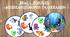 Міні - Доббль "Мешканці морів та океанів"