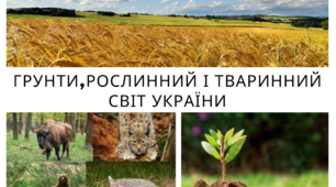 (Копія) Грунти та рослинний світ України