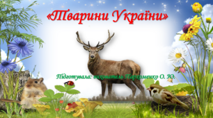 Презентація "Тварини України" Частина І