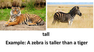 Animals (comparatives), 3 grade