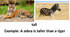 Animals (comparatives), 3 grade