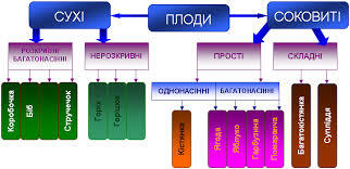 05000ks4-1c07-322x156.jpg