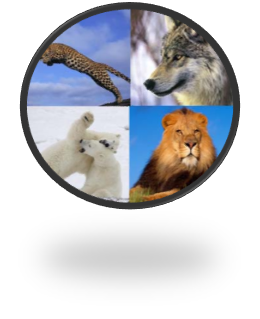 05000kti-398d-260x319.png