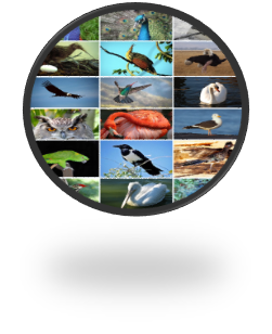 05000ku4-ae50-251x308.png