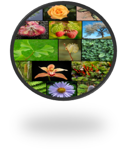 05000ku9-99e8-256x311.png