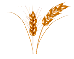 05000kuq-3558-186x149.png