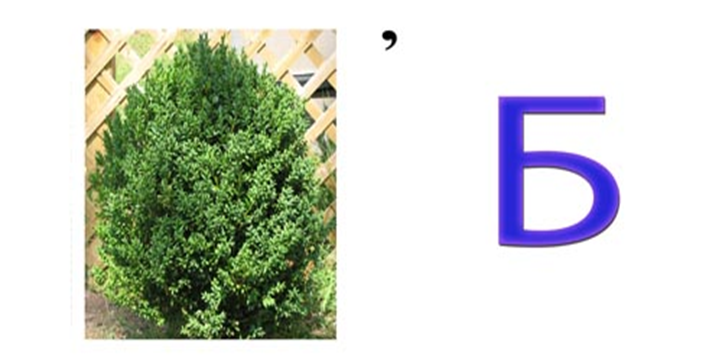 05000lba-4569-722x363.png
