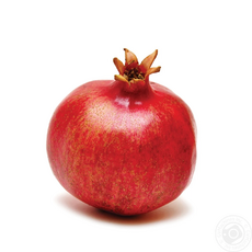 05000o4z-6005-230x230.png