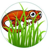 05000ory-a2ee-205x207.jpg
