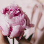 https://fs05.vseosvita.ua/05000pg4-107d-90x90.png