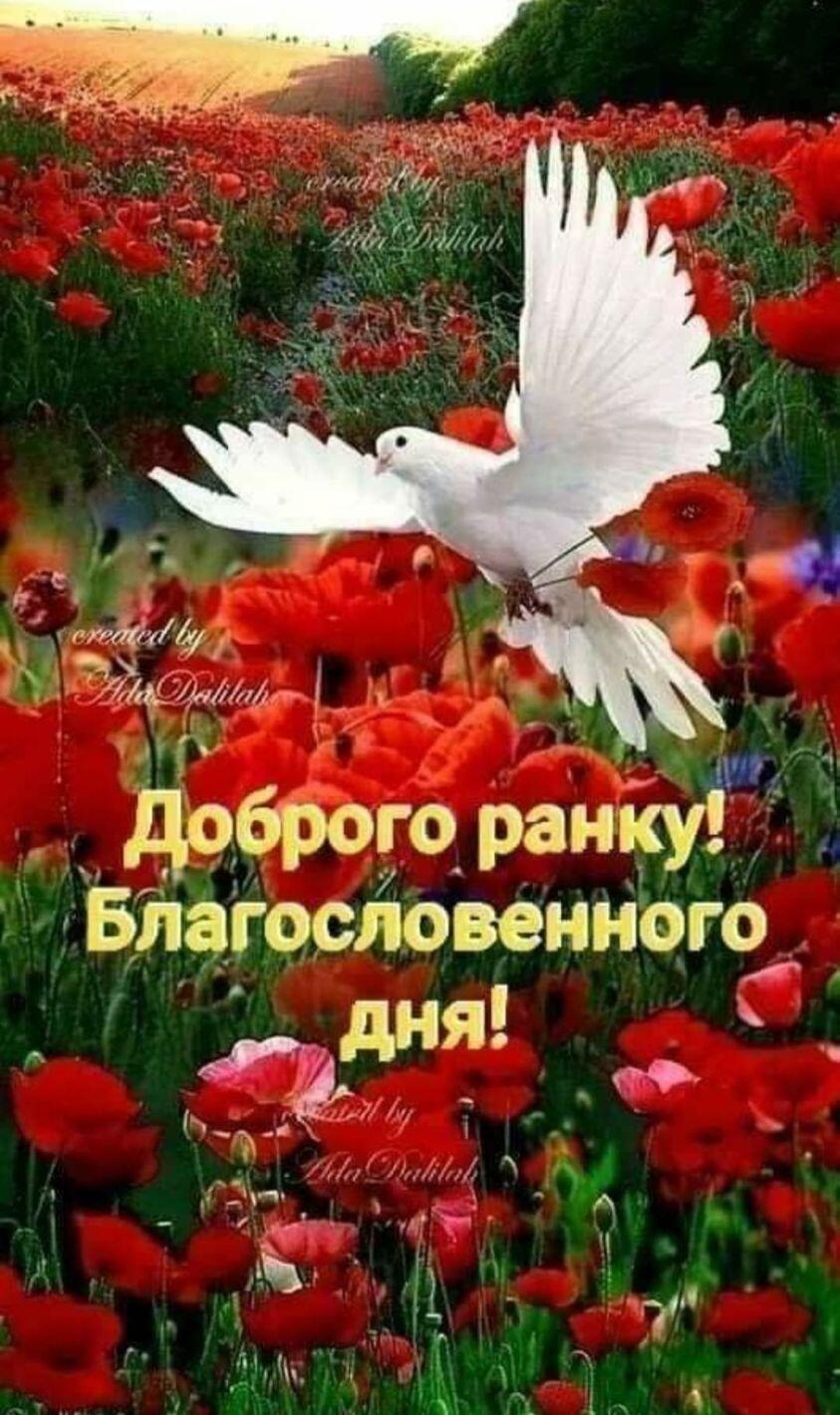 Возможно, это изображение текст