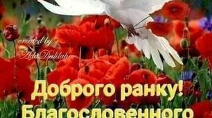 Біла голубка у маках кружляла,  Гарного дня усім нам побажала.