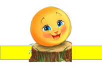 05000sro-4bf2-205x156.png