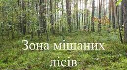 Зони мішаних та широколистих лісів