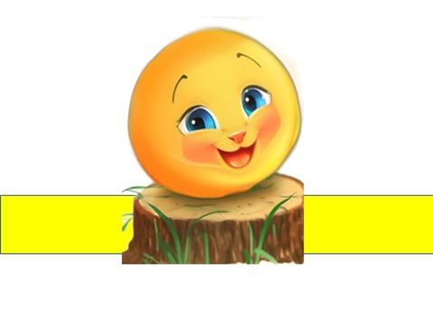 05000v6x-541d-479x363.png