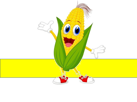 05000v80-e32f-478x357.png