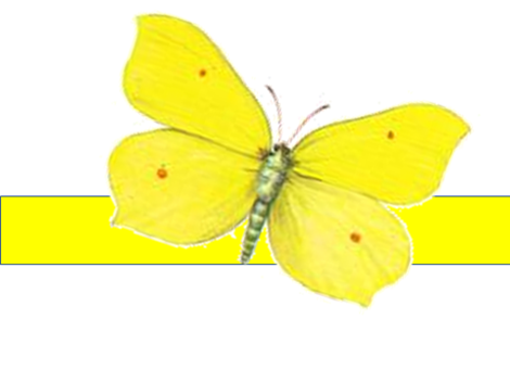 05000v84-3ccf-470x353.png