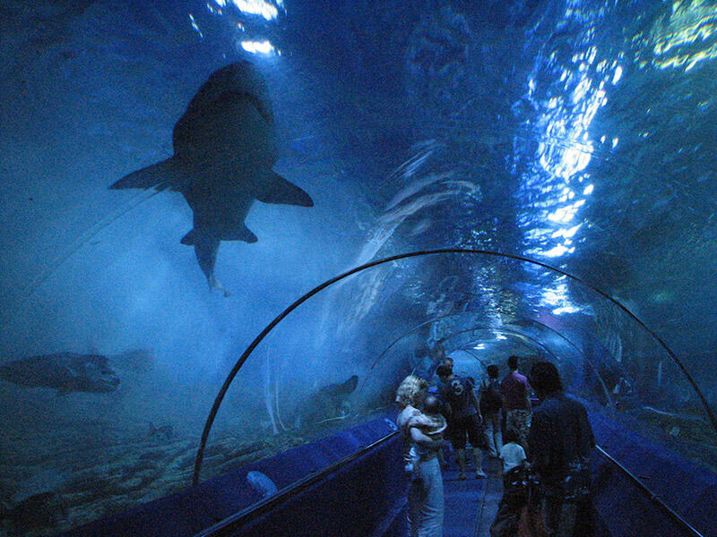 05000vg4-00a5-800x600.jpg