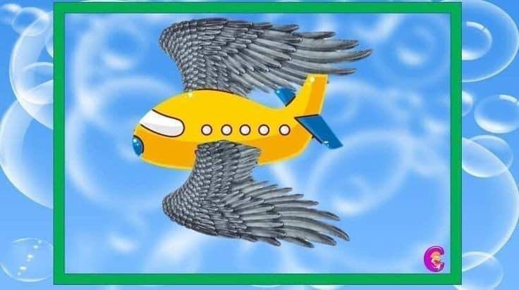 05000wvf-7a6a-736x412.jpg