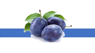 05000x0g-5dde-310x174.png