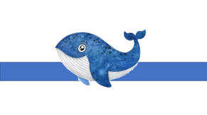 05000x0n-b20b-291x163.png