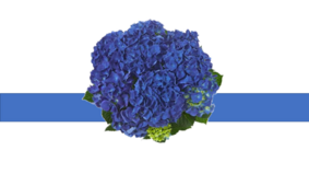 05000x0p-5337-283x159.png