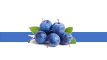05000xnd-597e-212x119.png