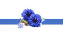05000xnj-5772-217x122.png