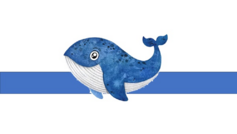 05000xnv-567e-237x134.png