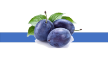 05000xnw-b140-223x125.png